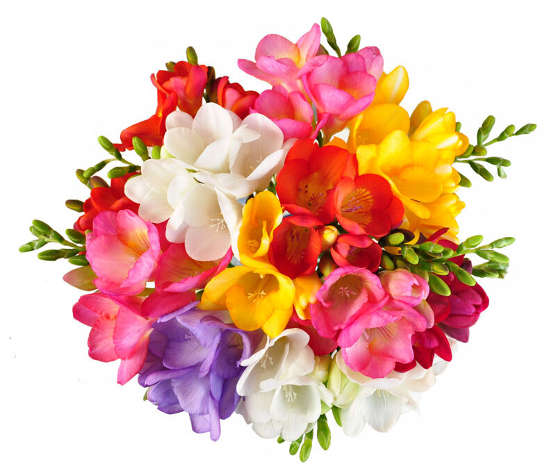Order Flowers for Our Easter Service